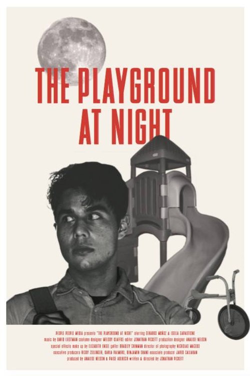 The Playground at Night movie poster player