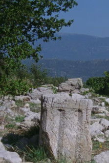 Above the Alpheios poster