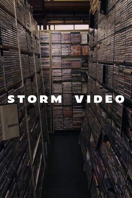 Storm Video movie poster