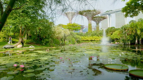 Wild City: Secret World Backdrop Blur