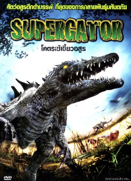 Supergator 2007 Supergator 2007