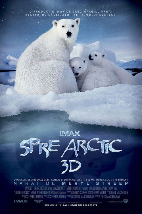To the Arctic 3D poster