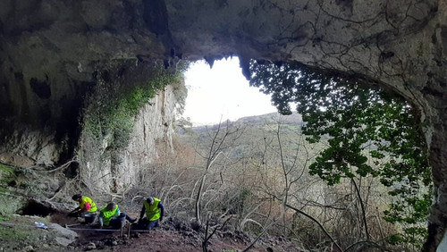 Guyulfo: la cueva del dios lobo Backdrop Blur