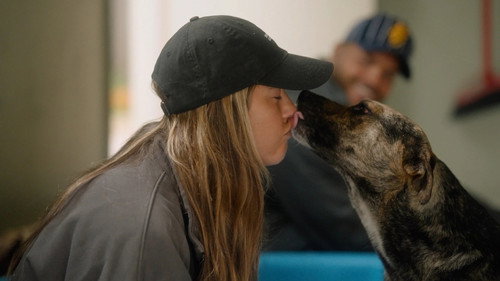 Must Love Dogs S1E2 backdrop
