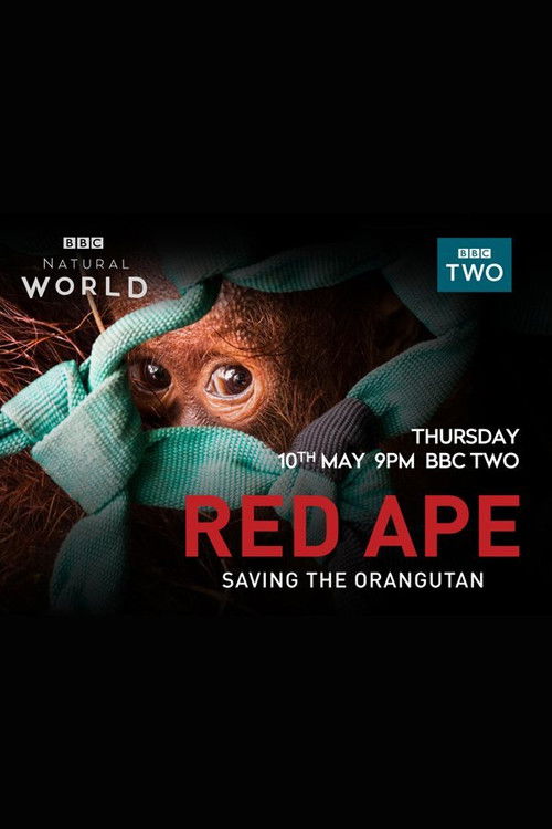 Red Ape: Saving the Orangutan poster