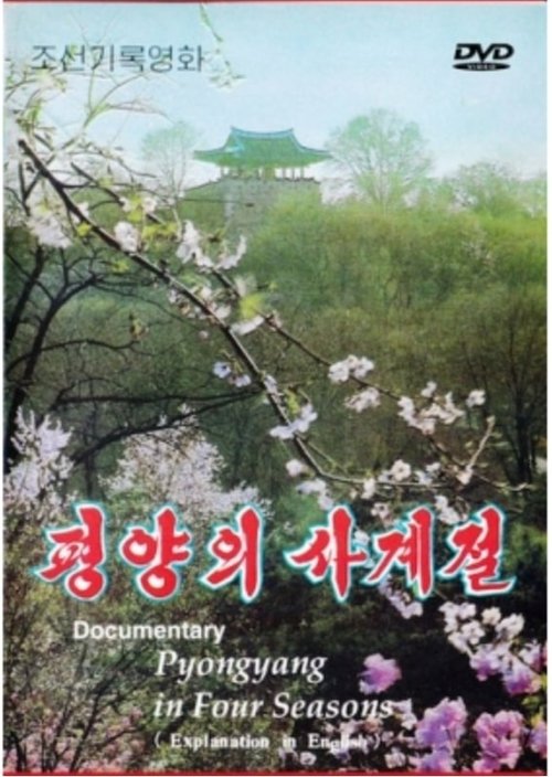 Pyongyang ui sagyedzol movie poster player