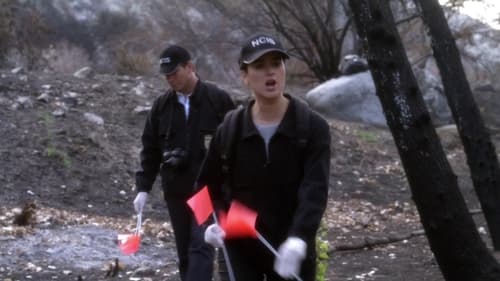 Poster della serie NCIS