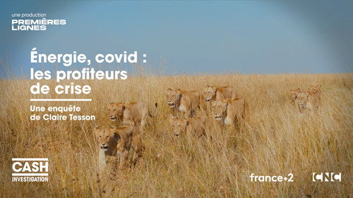Image Energie, covid : les profiteurs de crise
