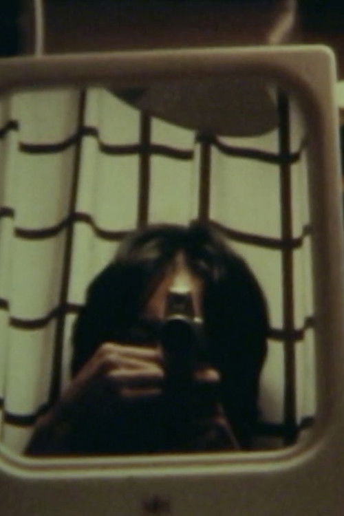 風にも道がある