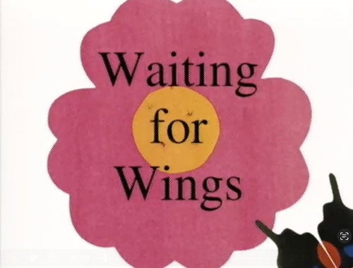 Waiting for Wings