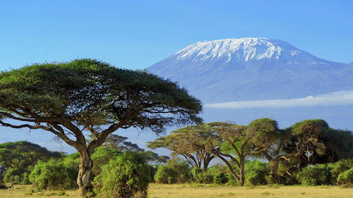 Kilimanjaro: the ascent to the roof of Africa