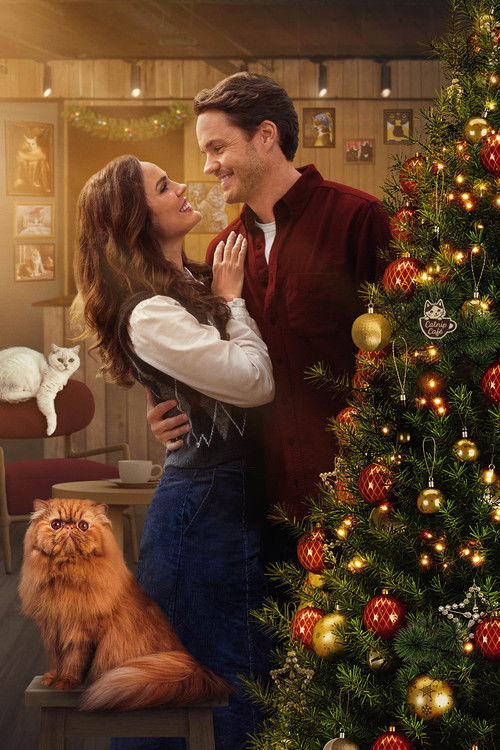 Christmas at the Catnip Café poster