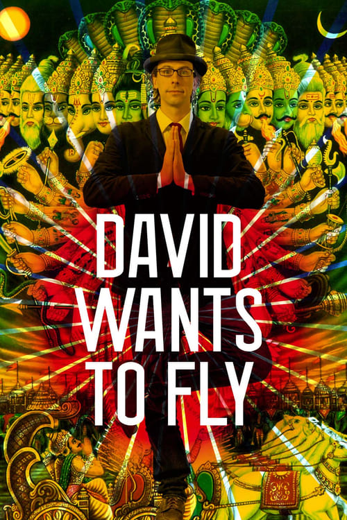 David Wants to Fly (2010) poster
