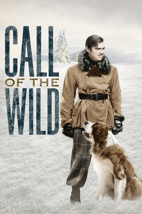 Call of the Wild poster