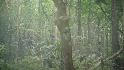 Image de l'épisode 1