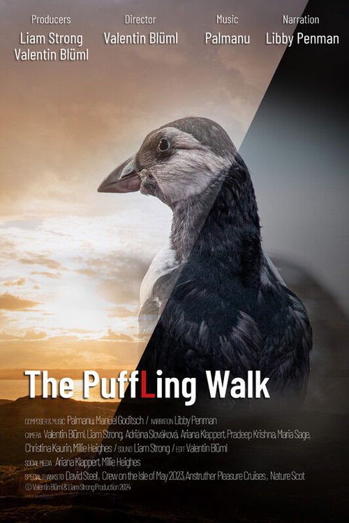 The Puffling Walk