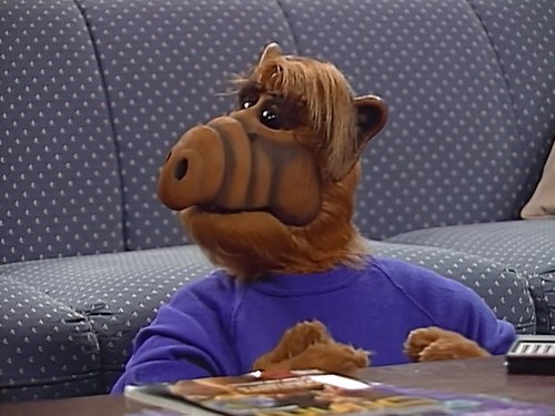 ALF, S04E03 - (1989)