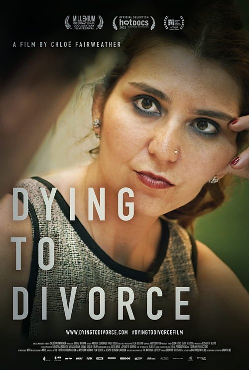 Dying to Divorce poster