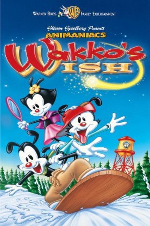 Wakko's Wish movie poster player