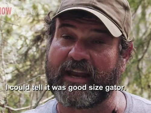 Poster della serie Swamp People