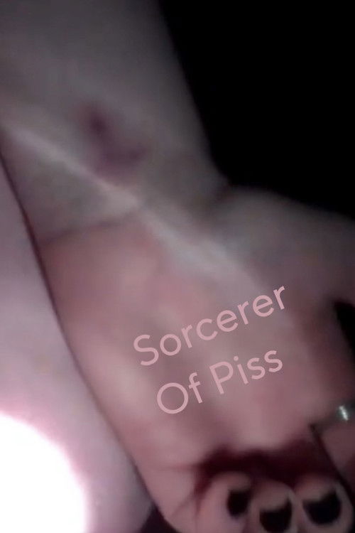 Sorcerer Of Piss poster