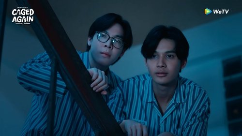 Caged Again: 1×3