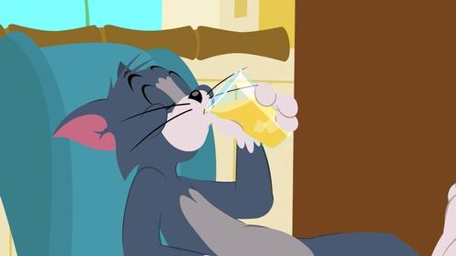 Poster della serie The Tom and Jerry Show