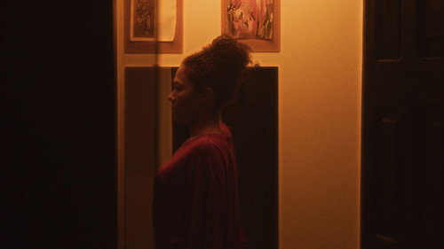 The Ascension of the Cicada