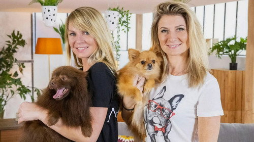 Animaux à adopter : Nouvelle famille pour une nouvelle vie Backdrop Blur