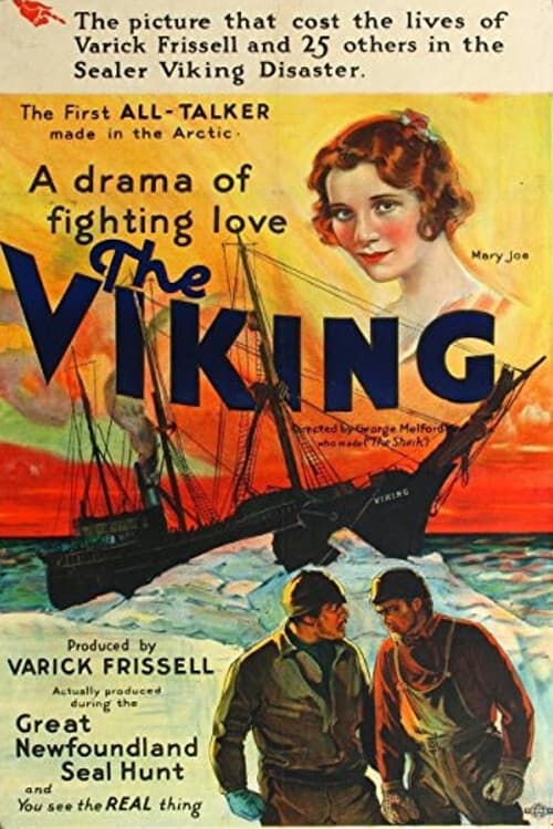 The Viking poster