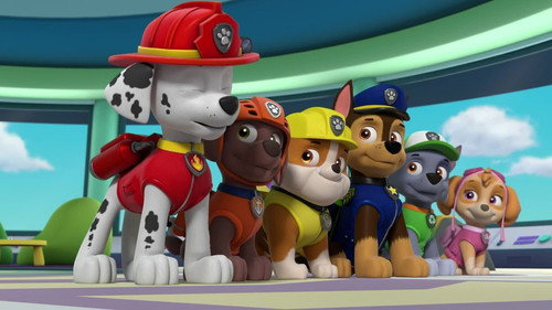 Pups Save a Wrongway Farmhand