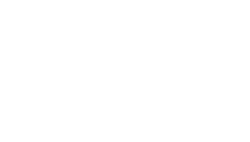 The Leunig Fragments