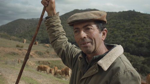 Sagres still