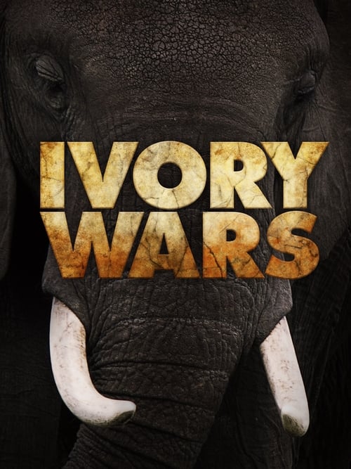 Ivory Wars poster