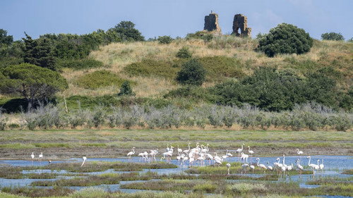 Maremma - Italiens wilde Schönheit - Season 1 Backdrop Blur