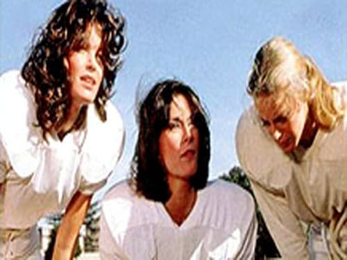 Poster della serie Charlie's Angels