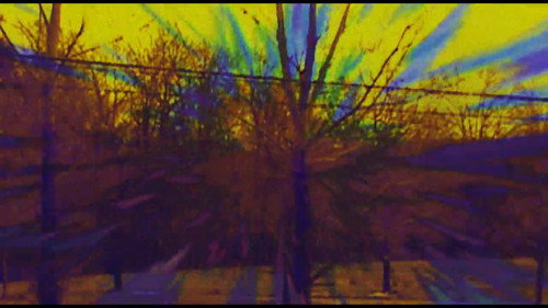 Joose Psychedelia Test