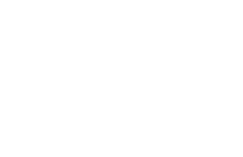 Salvage Hunters