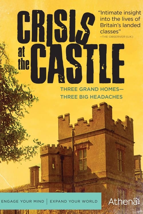 Crisis at the Castle (2007)