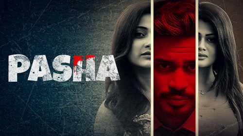 Pasha Backdrop Blur