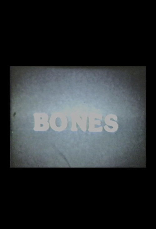 Blood Bones and Spirits