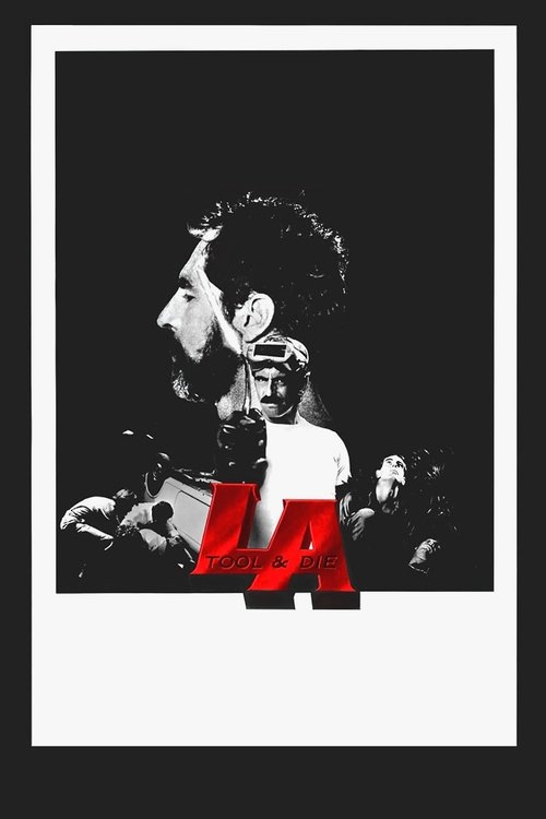Poster 6