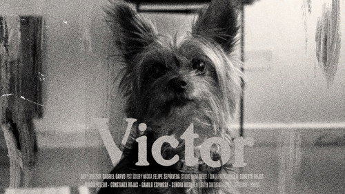 Victor Backdrop Blur