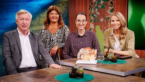 Image de l'épisode 3
