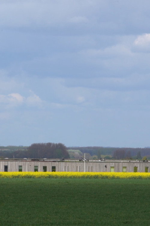 From Afar