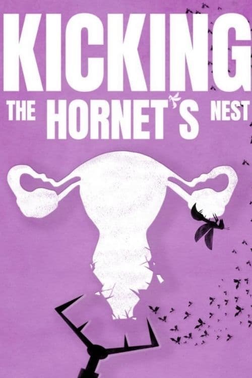 Kicking the Hornet's Nest poster