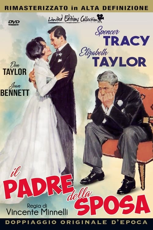 Father of the Bride poster