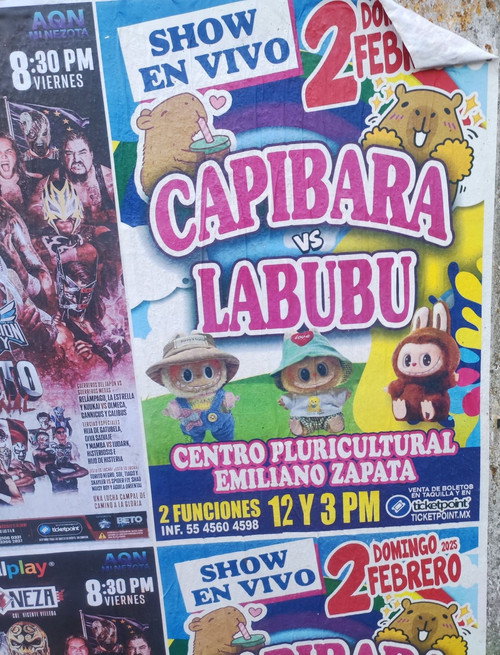Capybara vs. Labubu (2025) poster