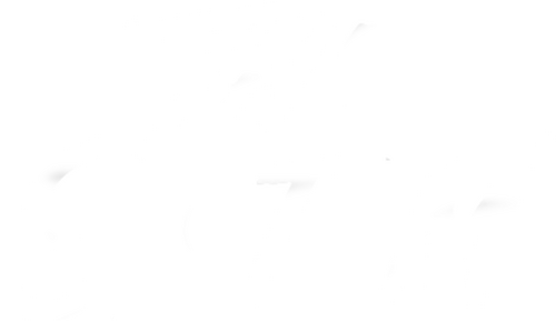 The System