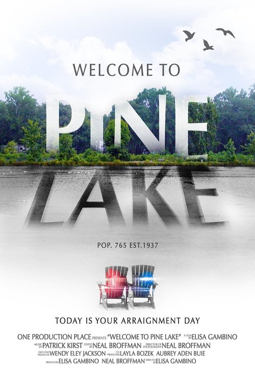 Welcome to Pine Lake Movie Poster Image